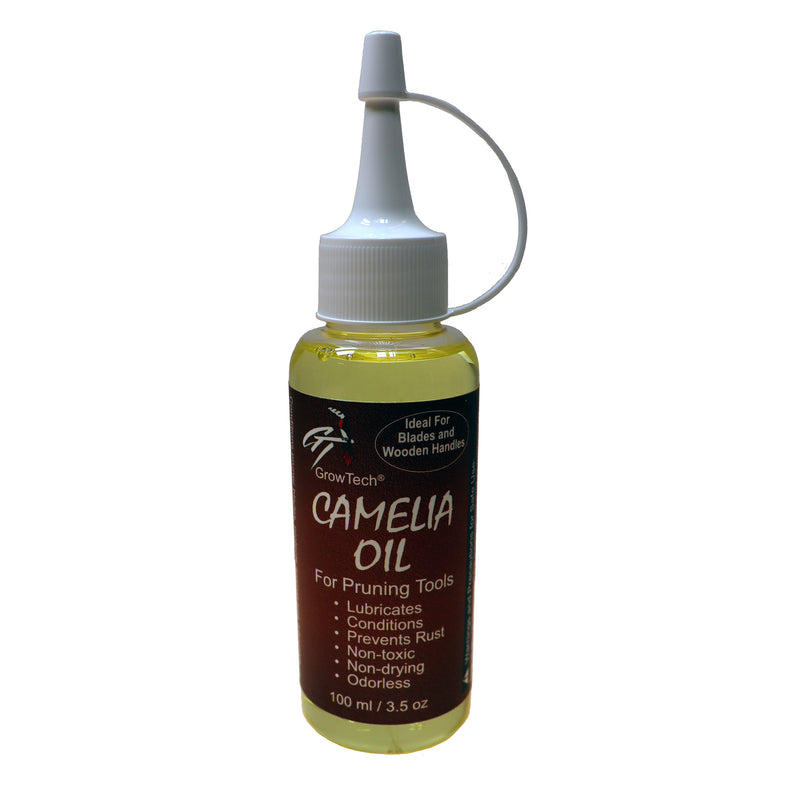 GT Camelia Oil