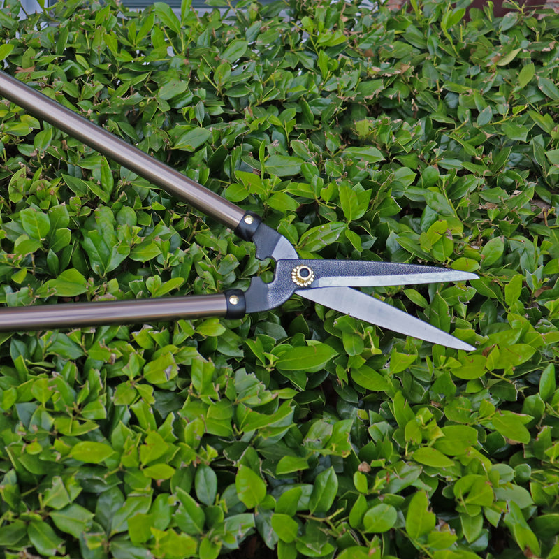 GT BENRI Extendable Hedge Shears
